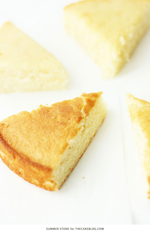 Baking Temperature Comparison | Why an accurate oven temp actually matters | by Summer Stone for TheCakeBlog.com