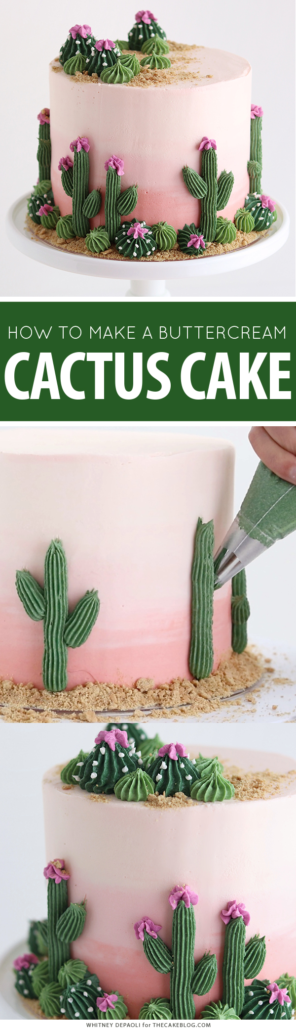Cactus Cake - how to make a cactus themed cake with ombrè buttercream, edible sand and piped buttercream cacti | by Whitney DePaoli for TheCakeBlog.com