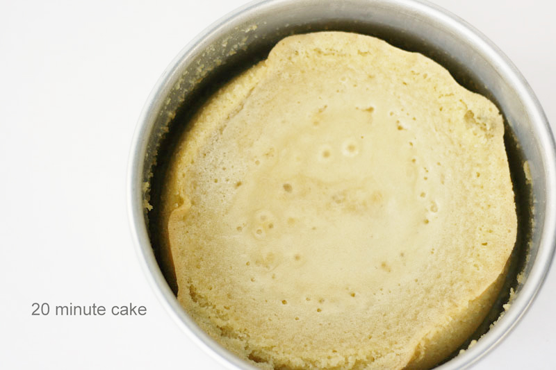 Baked to Perfection - how baking time affects cake moisture and structure | by Summer Stone for TheCakeBlog.com