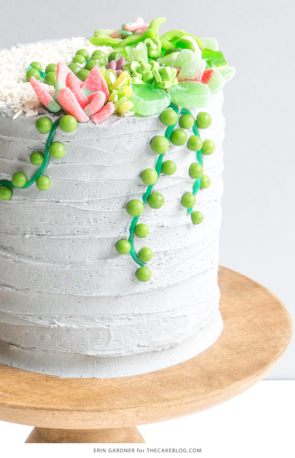 Candy Succulent Cake - how to make a succulent cake with edible candy succulents | by Erin Gardner for TheCakeBlog.com