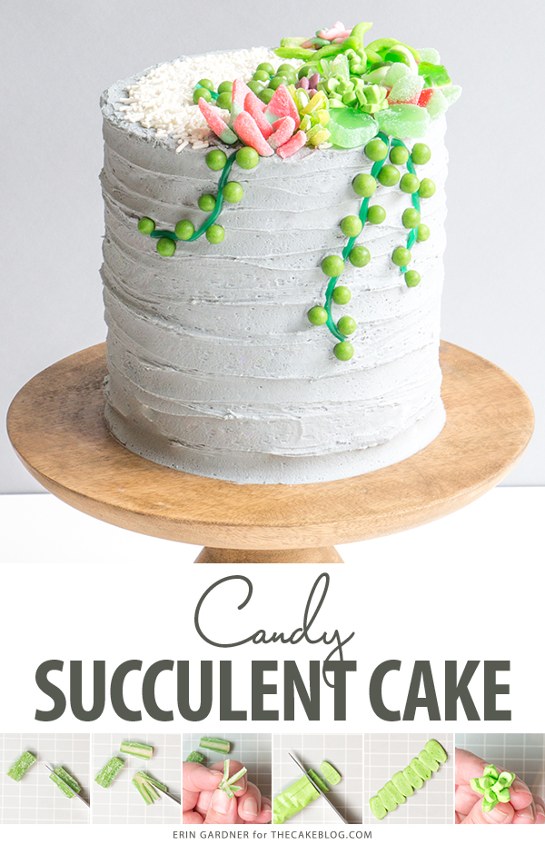 Candy Succulent Cake - how to make a succulent cake with edible candy succulents | by Erin Gardner for TheCakeBlog.com