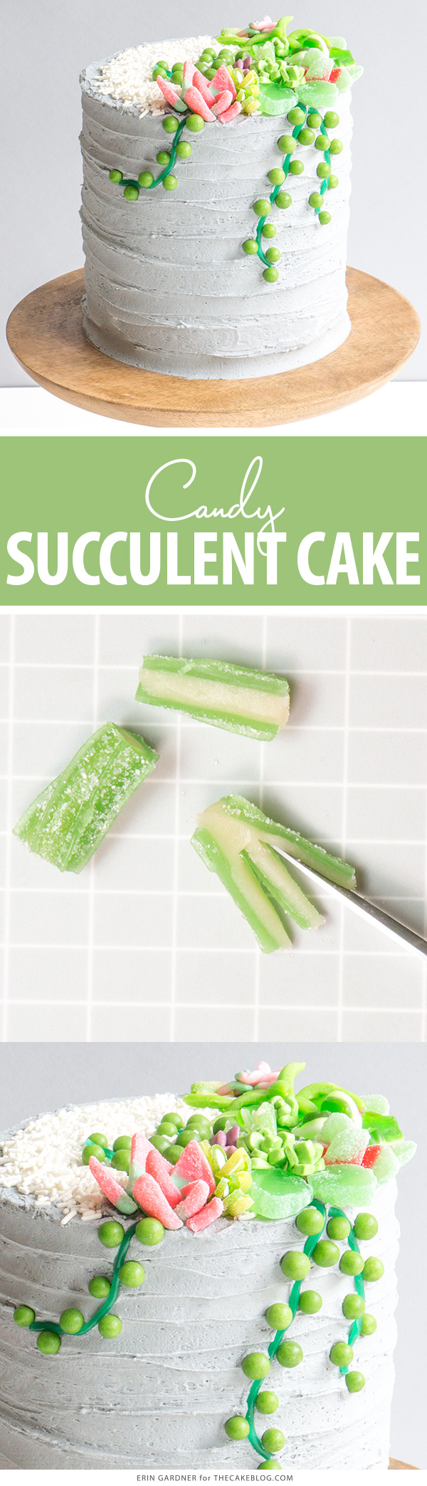 Candy Succulent Cake - how to make a succulent cake with edible candy succulents | by Erin Gardner for TheCakeBlog.com