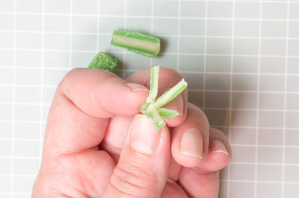Candy Succulent Cake - how to make a succulent cake with edible candy succulents | by Erin Gardner for TheCakeBlog.com
