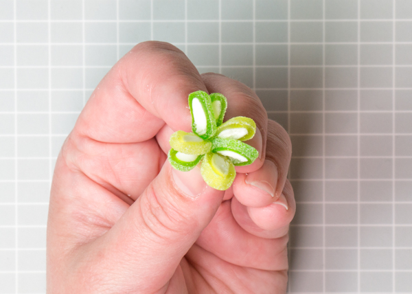 Candy Succulent Cake - how to make a succulent cake with edible candy succulents | by Erin Gardner for TheCakeBlog.com