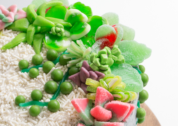 Candy Succulent Cake - how to make a succulent cake with edible candy succulents | by Erin Gardner for TheCakeBlog.com