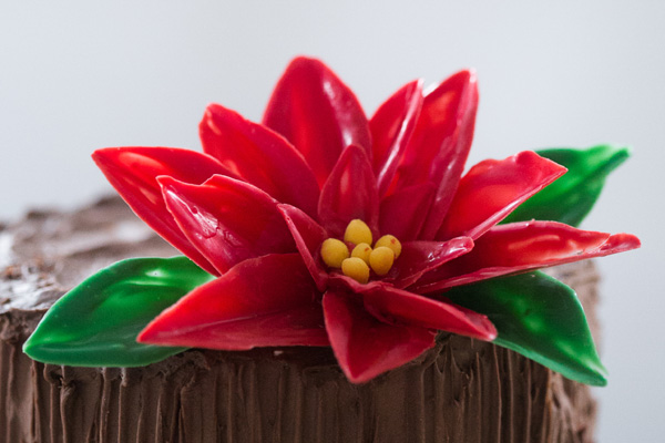 Chocolate Poinsettias - learn how to make these chocolate flowers with candy melts and a knife | Erin Gardner for TheCakeBlog.com