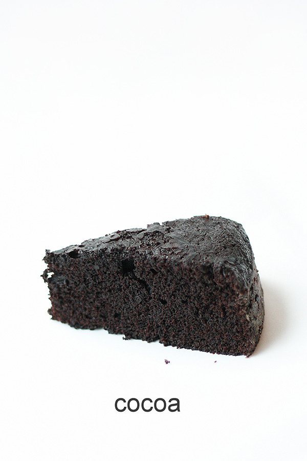 Chocolate vs Cocoa - how to make the most chocolatey cake | by Summer Stone for TheCakeBlog.com
