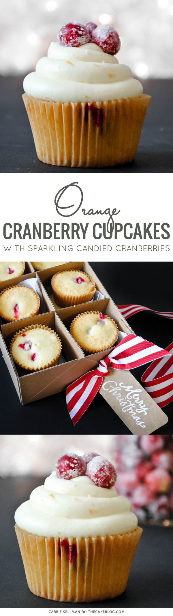 Cranberry Orange Cupcakes with sugared cranberries.  Perfect for the holidays and Christmas dessert | Carrie Sellman for TheCakeBlog.com
