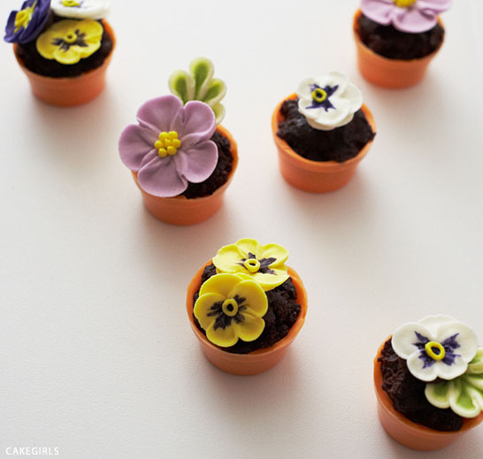 Teeny Tiny Flower Pot Cakes | Cake Tutorial by Cakegirls for TheCakeBlog.com