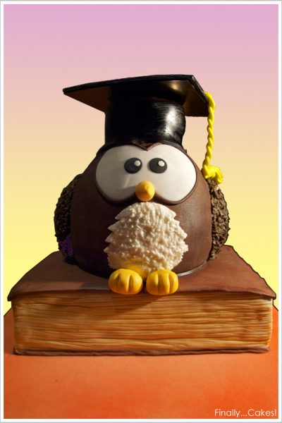 Graduation Owl Cake