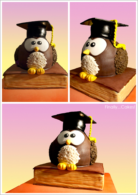 Owl Cake for Graduation