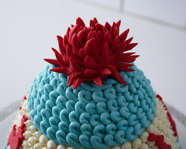 Winter Hat Cake - learn how to make this cozy cake that looks just like a knitted hat | by Cakegirls for TheCakeBlog.com