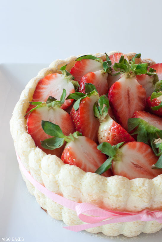 Cheesecake wrapped with Ladyfingers by Miso Bakes | TheCakeBlog.com