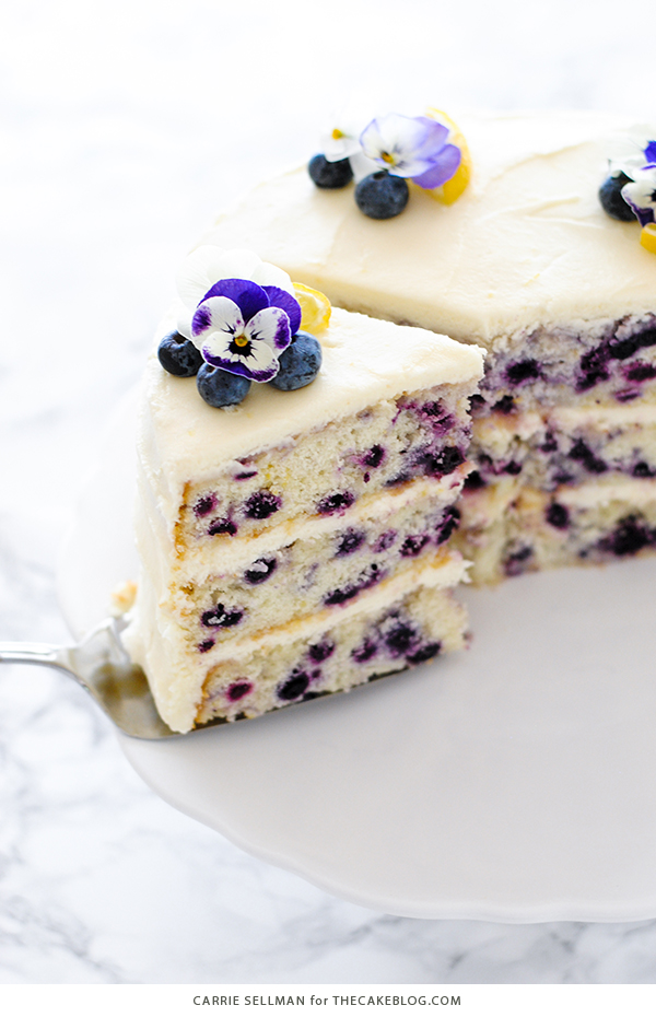 Lemon Blueberry Cake - lemon cake studded with wild blueberries, topped with lemon cream cheese frosting | by Carrie Sellman for TheCakeBlog.com