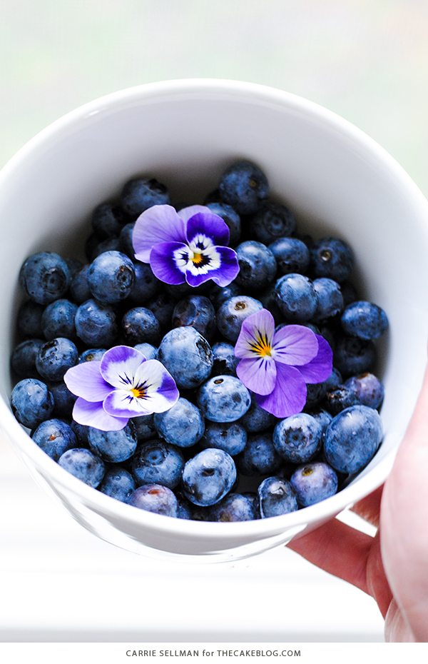 Lemon Blueberry Cake - lemon cake studded with wild blueberries, topped with lemon cream cheese frosting | by Carrie Sellman for TheCakeBlog.com
