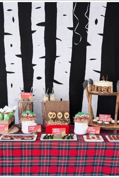 Lumberjack Birthday Party