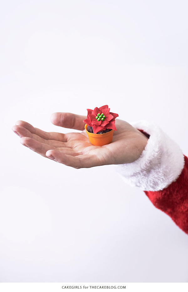 Mini Poinsettia Cakes - festive holiday desserts you can make for Christmas | Cakegirls for TheCakeBlog.com
