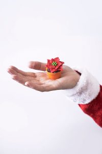 Mini Poinsettia Cakes - festive holiday desserts you can make for Christmas | Cakegirls for TheCakeBlog.com