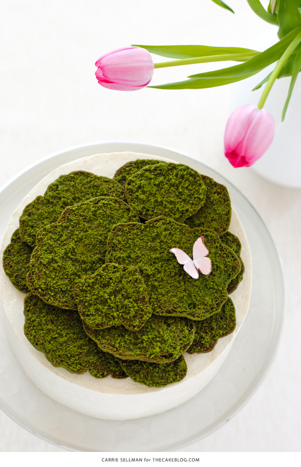 Cookie Moss Cake | how to make edible moss from sugar cookie dough | by Carrie Sellman for TheCakeBlog.com