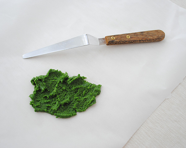 Cookie Moss Cake | how to make edible moss from sugar cookie dough | by Carrie Sellman for TheCakeBlog.com