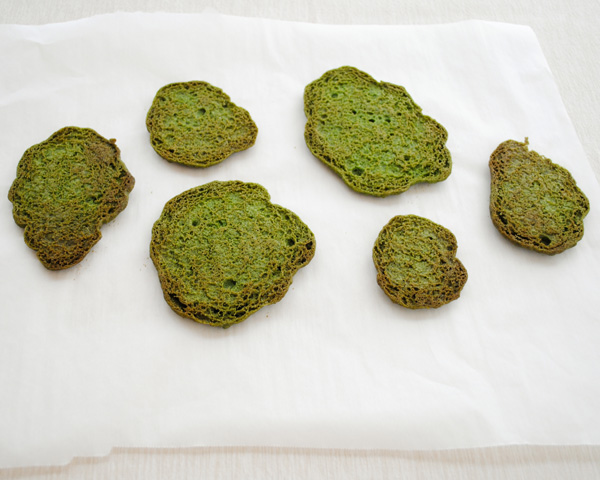 Cookie Moss Cake | how to make edible moss from sugar cookie dough | by Carrie Sellman for TheCakeBlog.com