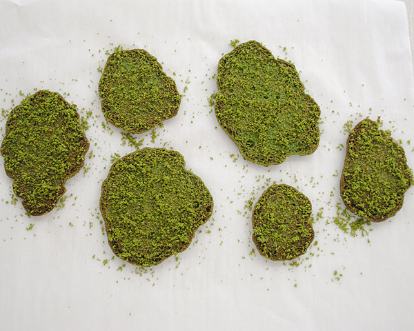 Cookie Moss Cake | how to make edible moss from sugar cookie dough | by Carrie Sellman for TheCakeBlog.com