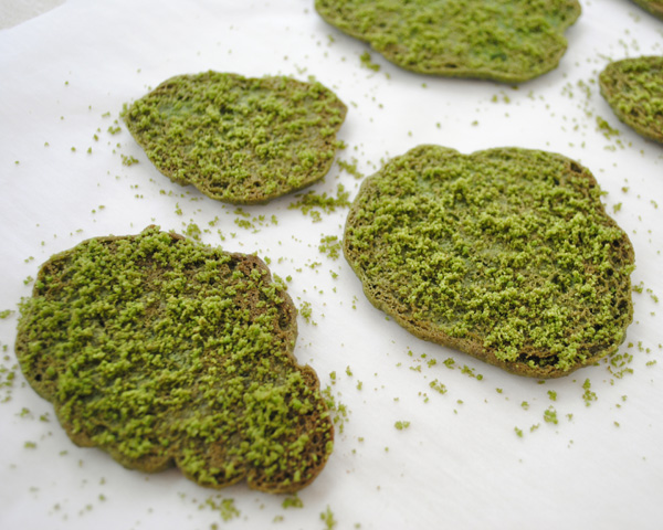 Cookie Moss Cake | how to make edible moss from sugar cookie dough | by Carrie Sellman for TheCakeBlog.com