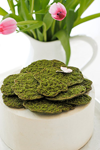 Sugar Cookie Moss Cake