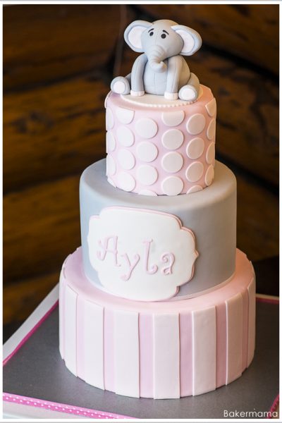 Elephant Birthday Party