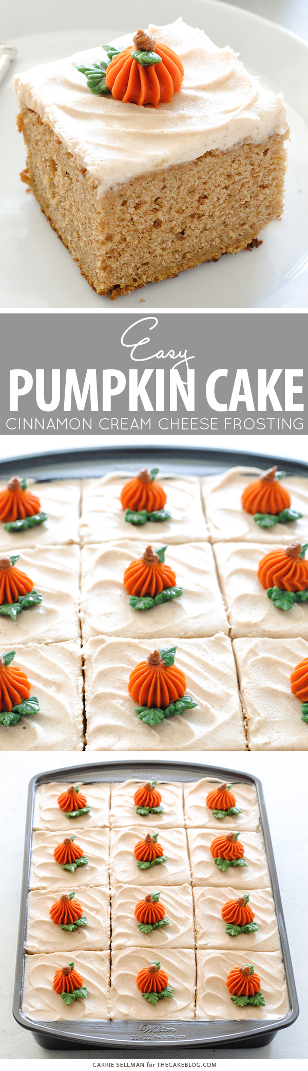 Pumpkin Sheet Cake - easy pumpkin cake with cinnamon cream cheese frosting, made from scratch and perfect for a crowd | by Carrie Sellman for TheCakeBlog.com