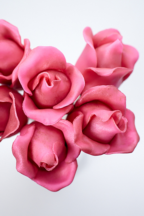 DIY Rose Cake Pops, an adorable dessert for Valentine's Day, Mother's Day and bridal showers | by Cakegirls for TheCakeBlog.com