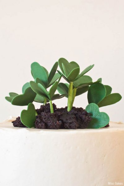 DIY:  Shamrocks & Lucky Clovers Cake