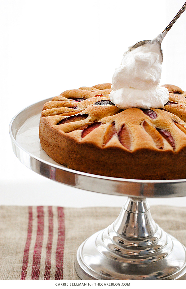 Spiced Plum Cake with Whipped Yogurt - an elegant yet easy cake recipe for holiday entertaining. | Carrie Sellman for TheCakeBlog.com