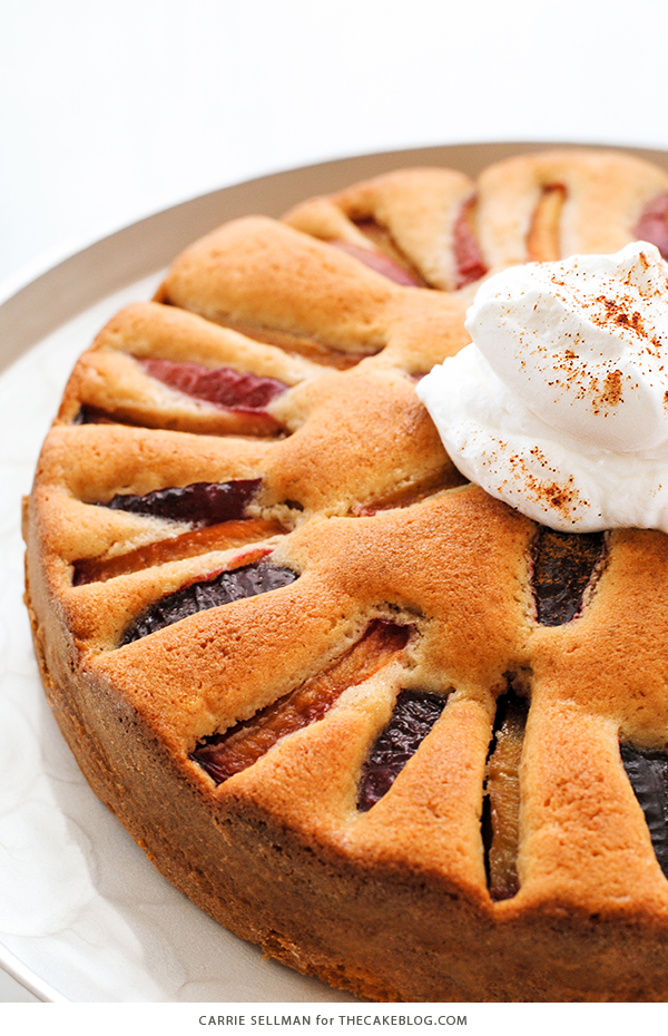 Spiced Plum Cake with Whipped Yogurt - an elegant yet easy cake recipe for holiday entertaining. | Carrie Sellman for TheCakeBlog.com