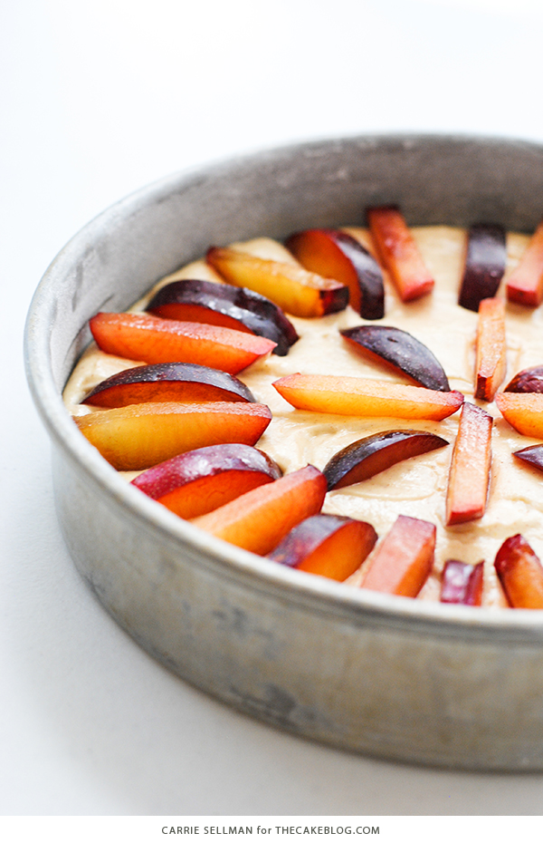 Spiced Plum Cake with Whipped Yogurt - an elegant yet easy cake recipe for holiday entertaining. | Carrie Sellman for TheCakeBlog.com