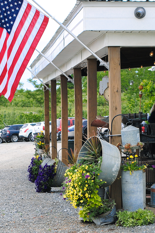 Strawberry Picking | on TheCakeBlog.com