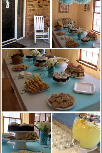 Real Party: Tiffany Blue and Brown Shower