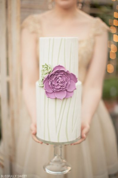 Urban Gardner Dessert Display